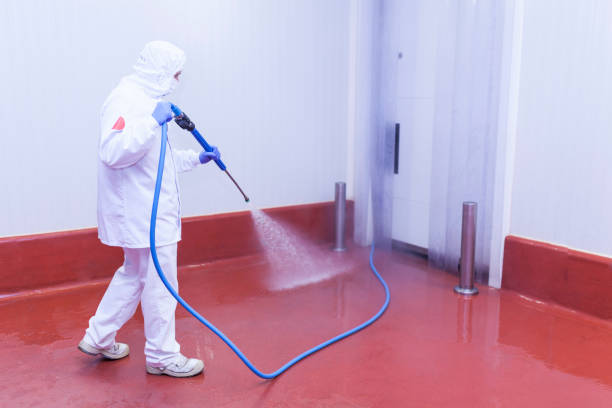 Best Graffiti Removal Services in Southmont, PA
